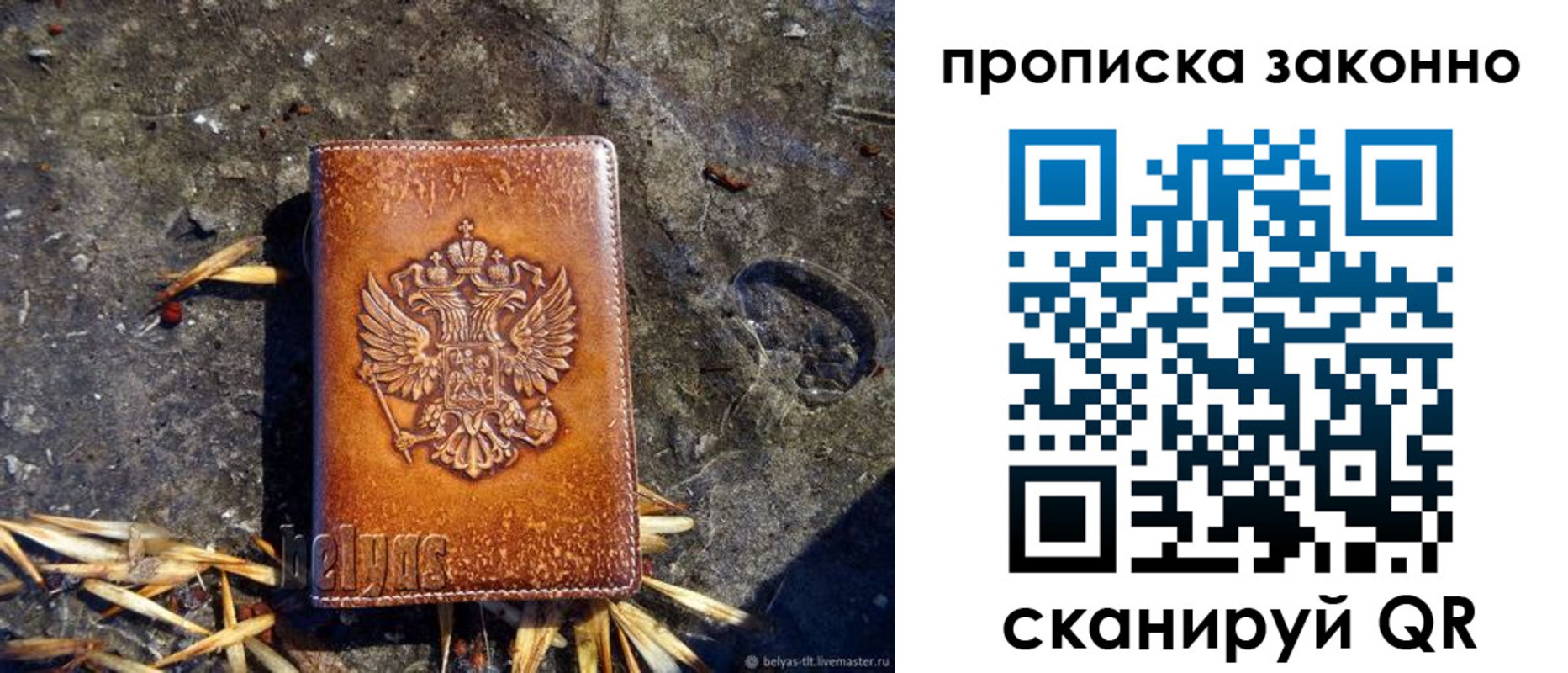 прописка паспорт в Курской области